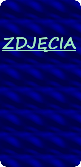 zdjecia